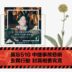 510中捷/興富發公安殺人事件週年  仍無人負起政治責任  台灣公民社會共同聲明、吳豪人台語詩〈妳是人權的媽祖婆〉